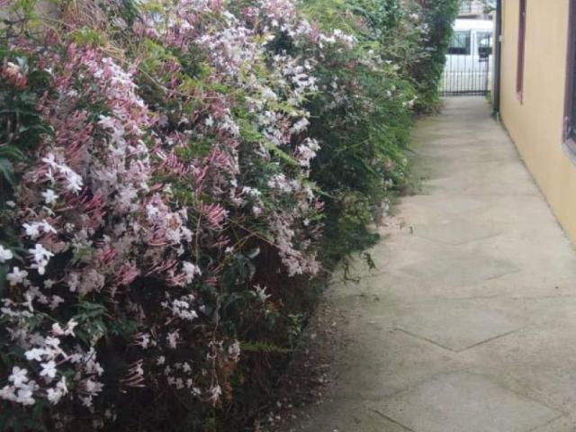 Casa en arriendo en Concón, Valparaíso