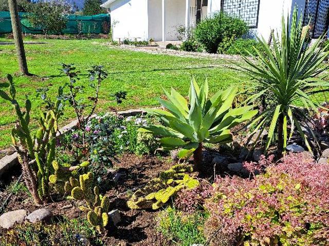 Casa en arriendo en Condominio Campo Alegre, Puchuncaví