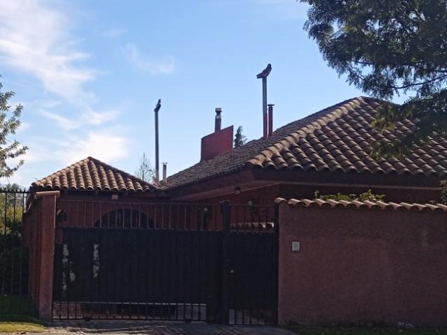 Casa en arriendo en Aysén Del General Carlos Ibáñez Del Campo