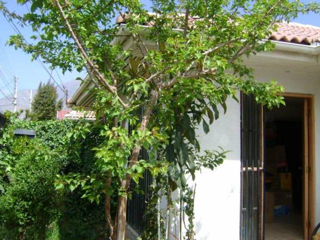 Casa en arriendo en San Felipe, Provincia de San Felipe de Aconcagua