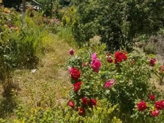 Casa en arriendo en Angol, La Araucanía