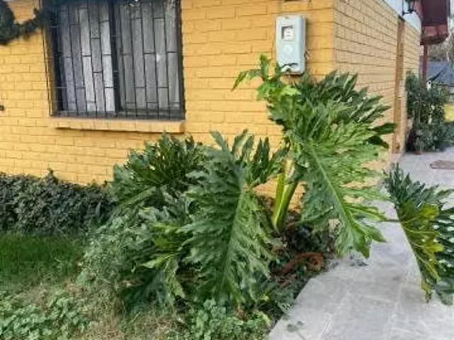 Casa en arriendo en Putre, Metropolitana