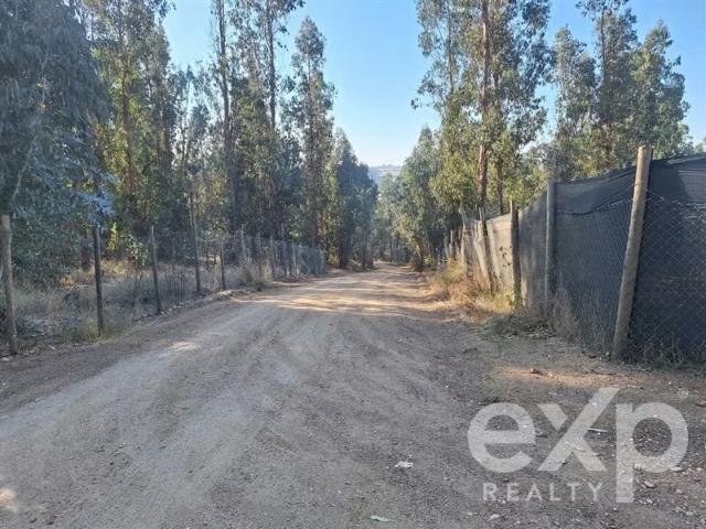 Casa en arriendo en Las Garzas, Marchigüe