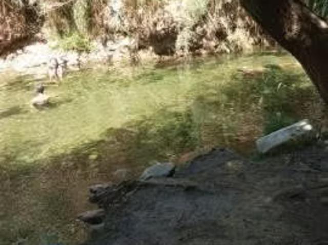 Casa en arriendo en Paihuano, Provincia de Elqui