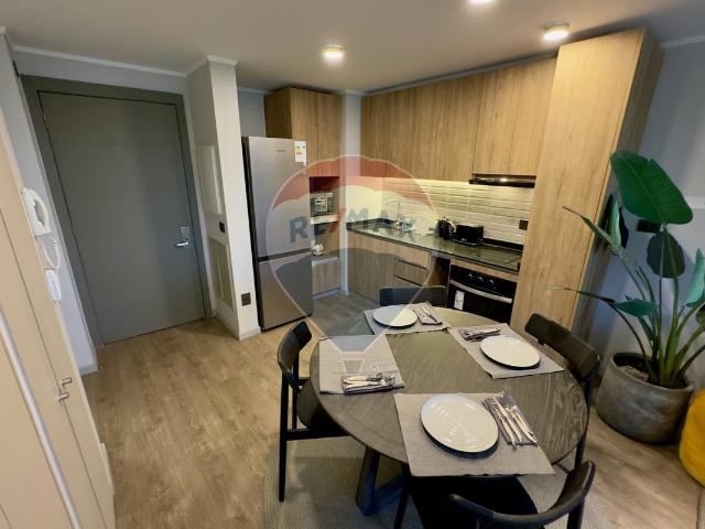 Departamento en arriendo en Providencia, Metropolitana
