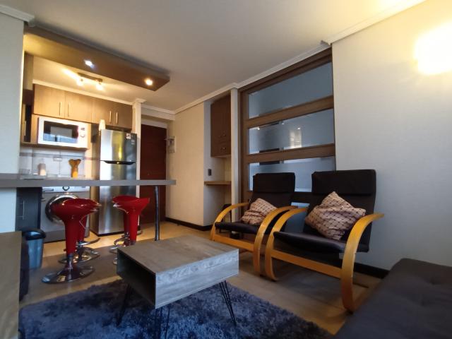 Arriendo Departamento 1 dorm 1 baño en Santiago centro