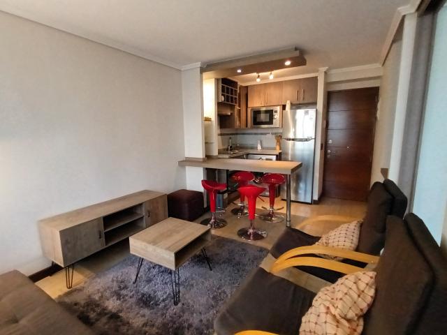 Arriendo Departamento 1 dorm 1 baño en Santiago centro