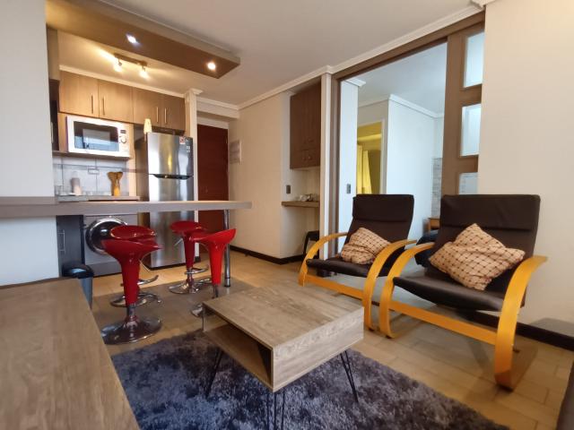 Arriendo Departamento 1 dorm 1 baño en Santiago centro