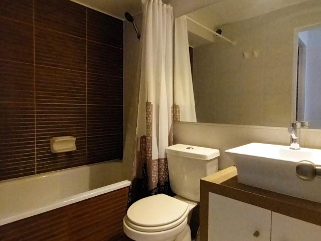 Arriendo Departamento 1 dorm 1 baño en Santiago centro
