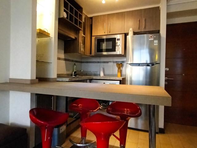 Arriendo Departamento 1 dorm 1 baño en Santiago centro