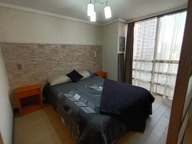 Arriendo Departamento 1 dorm 1 baño en Santiago centro