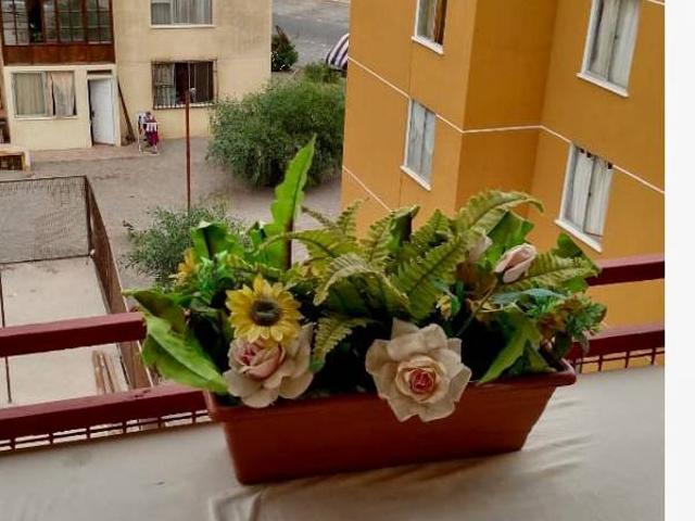 Departamento en arriendo en Arica