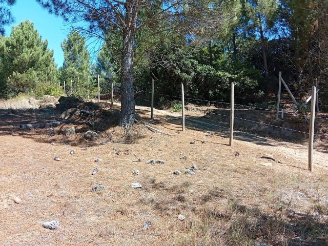 Terreno en arriendo en Concepción, Biobío