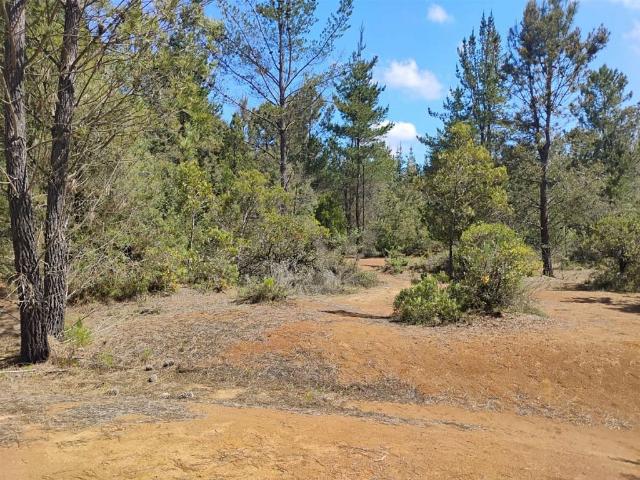 Terreno en arriendo en Parral, Maule