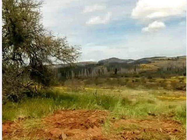 Terreno en arriendo en San Javier, Maule