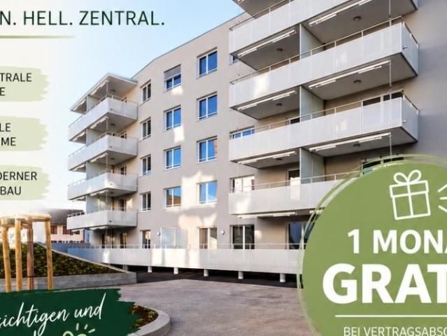 Apartment mieten in Burg AG, Menziken