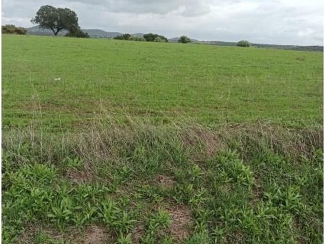 Terreno venda em Arronches, Portalegre