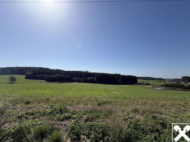 Grundstück kaufen in Waldkirchen am Wesen, Bezirk Schärding