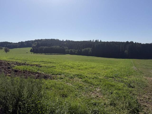 Grundstück kaufen in Vorstadt, Schärding