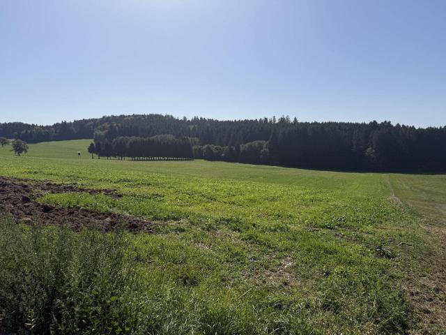 Immobilie kaufen in Aichberg, Waldkirchen am Wesen