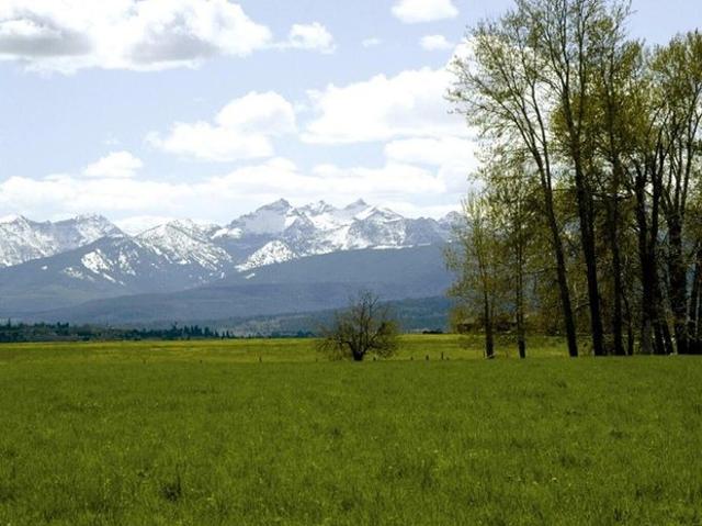 Land for sale in Ravalli, Montana