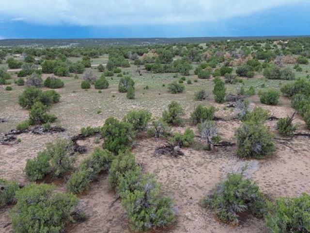 Land for sale in Quemado, Catron County