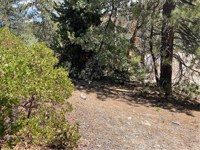 Land for sale in Green Valley Lake, California