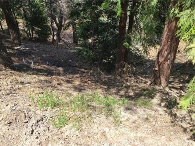 Land for sale in Cedar Glen, California