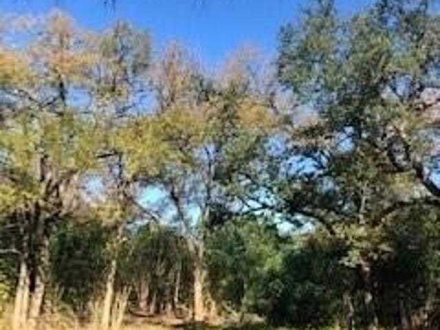 Land for sale in Belton, Bell County