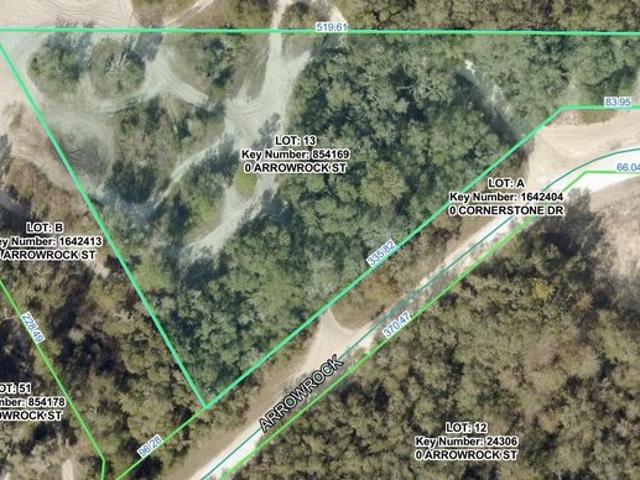 Land for sale in Webster, Florida