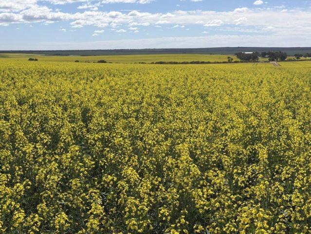 Cottage for sale in Arrowsmith East, Western Australia