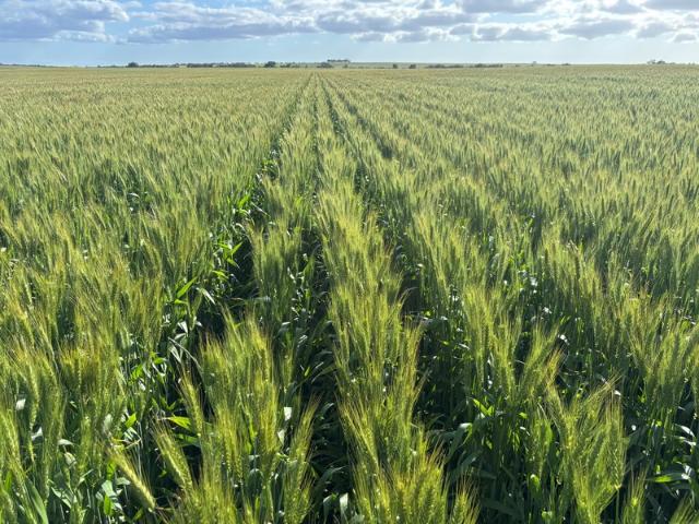 Property for sale in Irwin, Western Australia