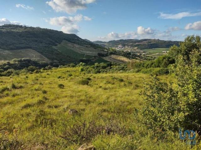Terreno venda em Arruda Dos Vinhos Terreno venda em Arruda Dos Vinhos