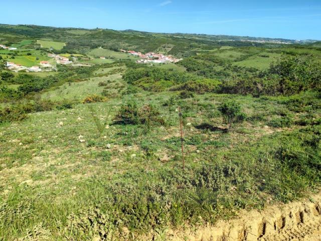 Terreno venda em Arruda Dos Vinhos Terreno venda em Arruda Dos Vinhos