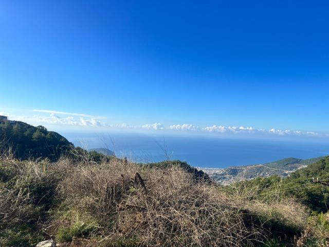 Muratpaşa, Antalya içerisinde satılık Arsa