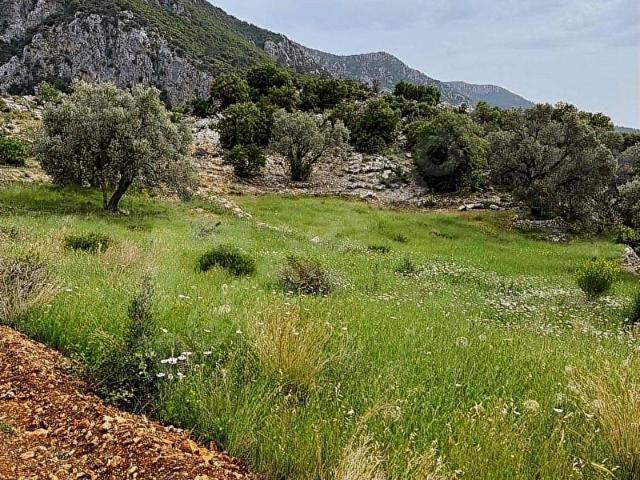 Muğla içerisinde satılık Arsa
