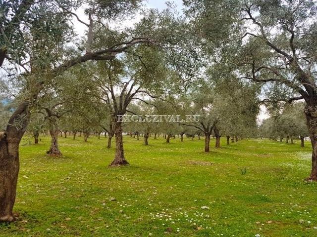 Didim, Aydin içerisinde satılık Arsa