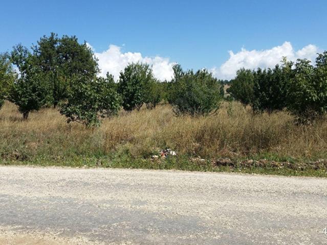 Erdemli, Mersin içerisinde satılık Arsa