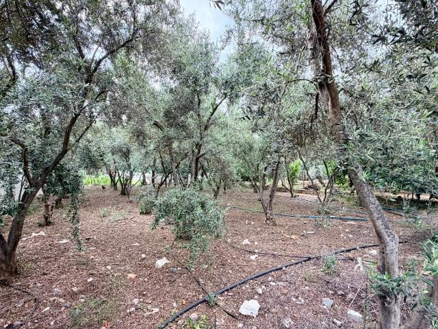 Fethiye, Muğla içerisinde satılık Arsa