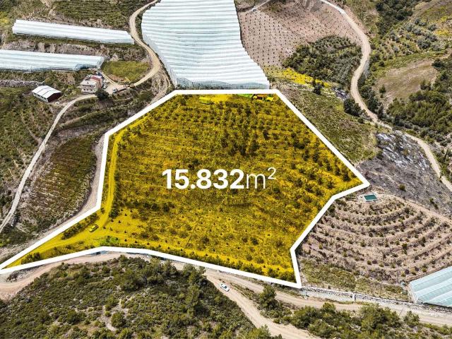 Gazipaşa, Antalya içerisinde satılık Arsa