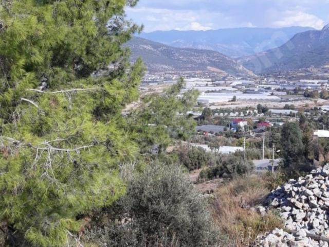 Gazipaşa, Antalya içerisinde satılık Arsa