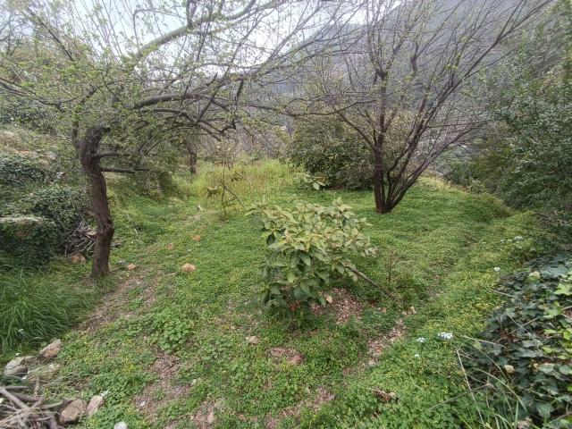 Alanya, Antalya içerisinde satılık Arsa