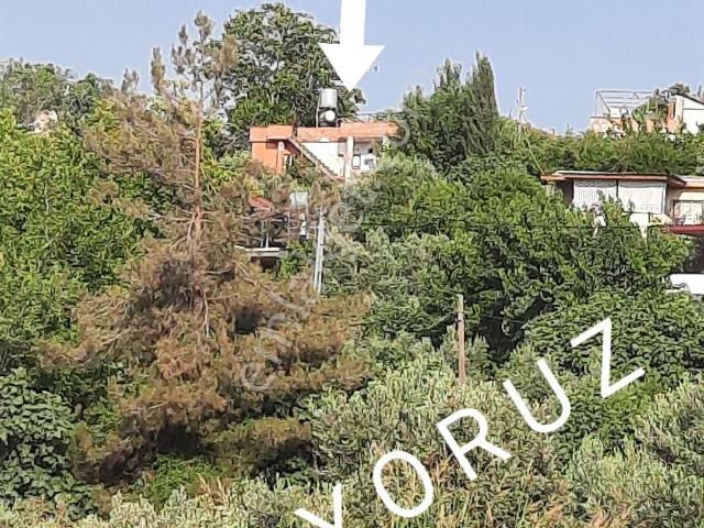 Hasanbeyli içerisinde satılık Villa