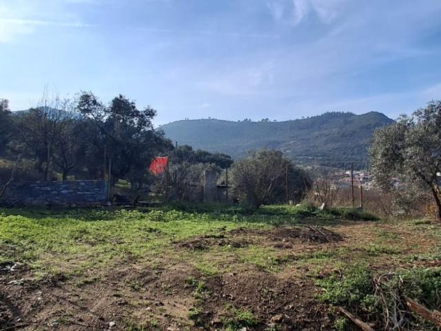 Selçuk, İzmir içerisinde satılık Arsa