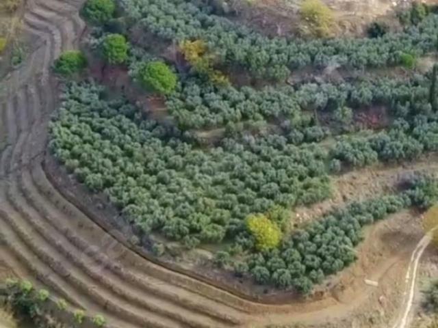 Selçuk, İzmir içerisinde satılık Arsa