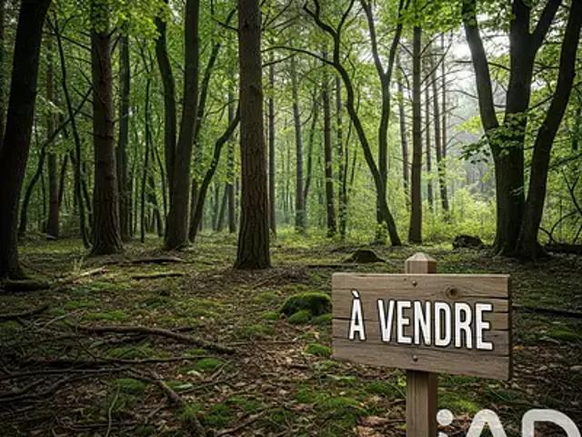 Terrain vente à Lesparre-Médoc, Arsac