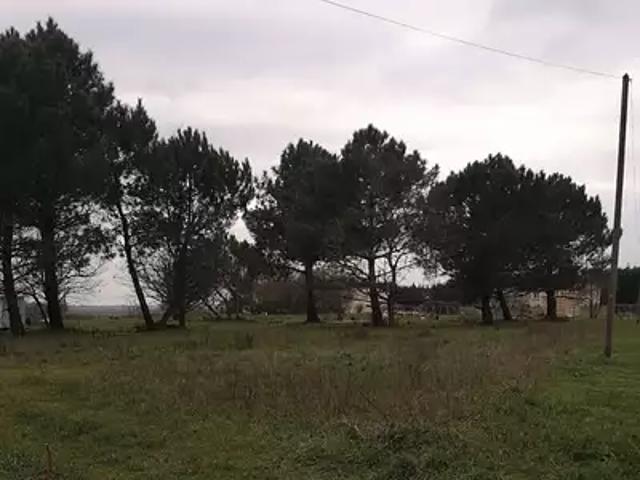 Terrain vente à France métropolitaine, Arsac