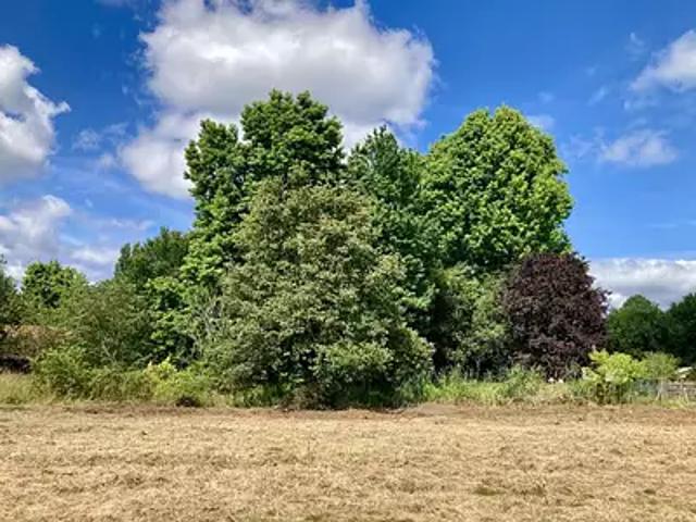 Terrain vente à France métropolitaine, Arsac