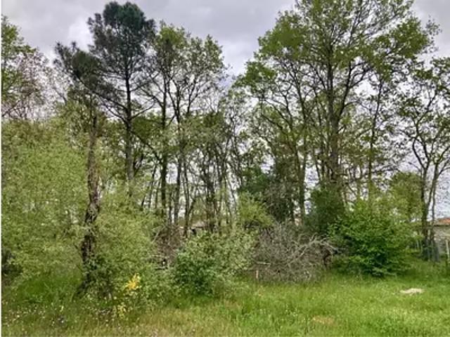 Terrain vente à France métropolitaine, Arsac