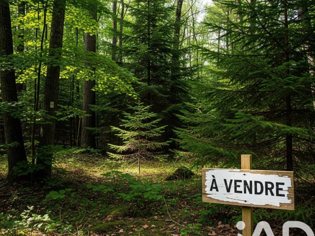 Terrain vente à Lesparre-Médoc, Arsac
